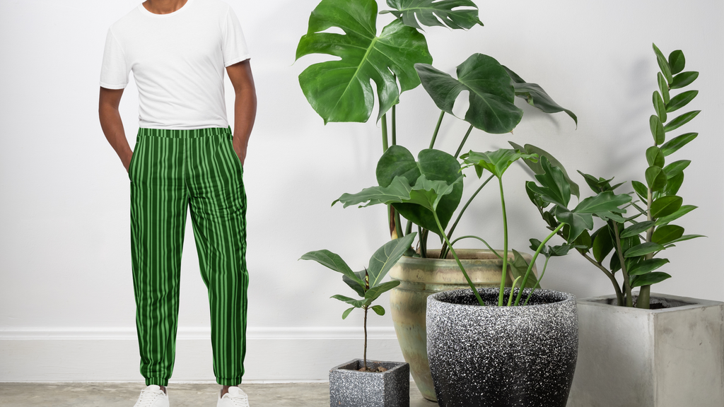 Person wearing green striped pants standing next to potted plants indoors.