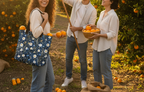 Three people in an orange orchard with one holding a blue floral bag, another with a basket of oranges, and the third holding oranges.